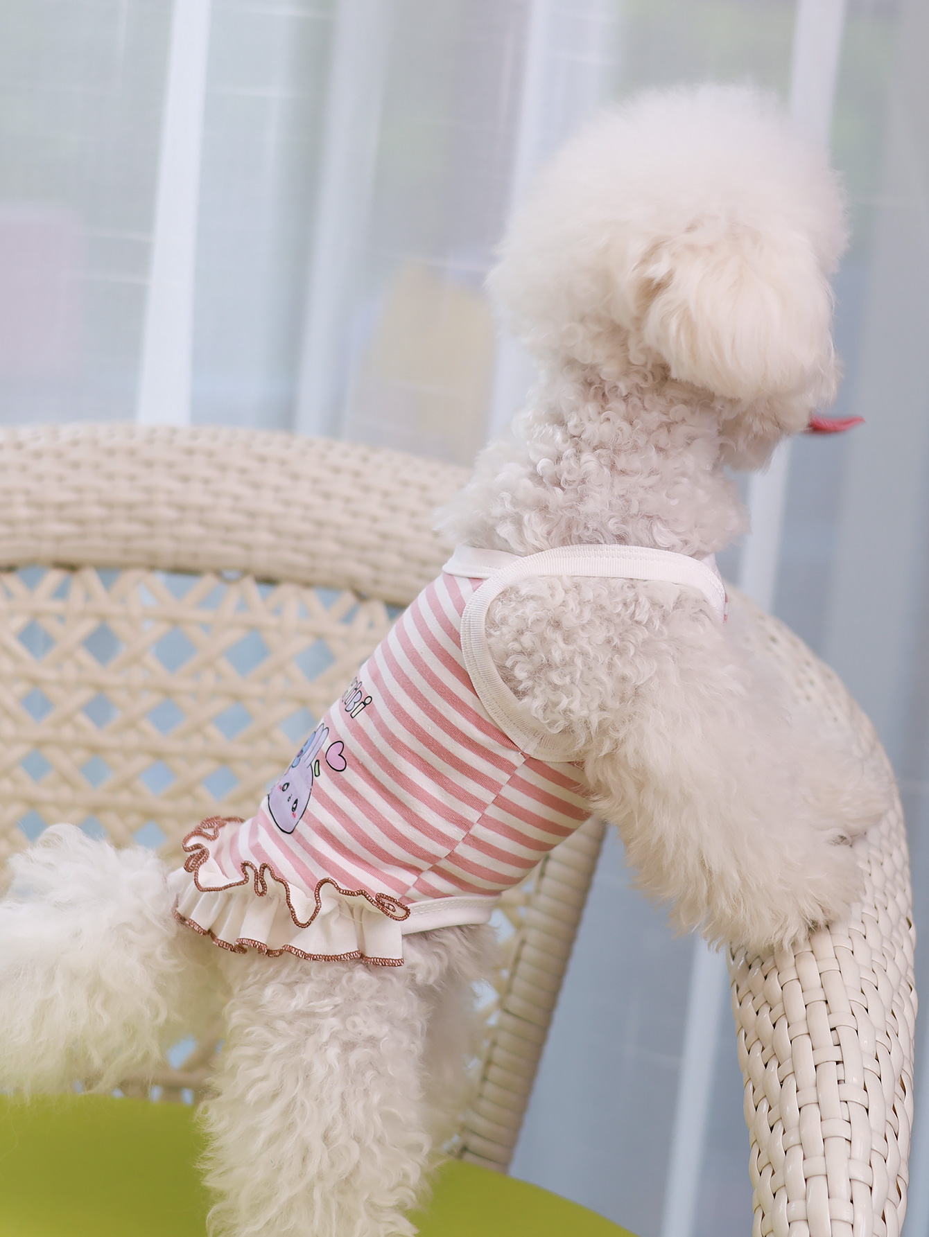 Hundeweste, sommerliche, atmun – Summer Clothing Material Bewertung und Preis