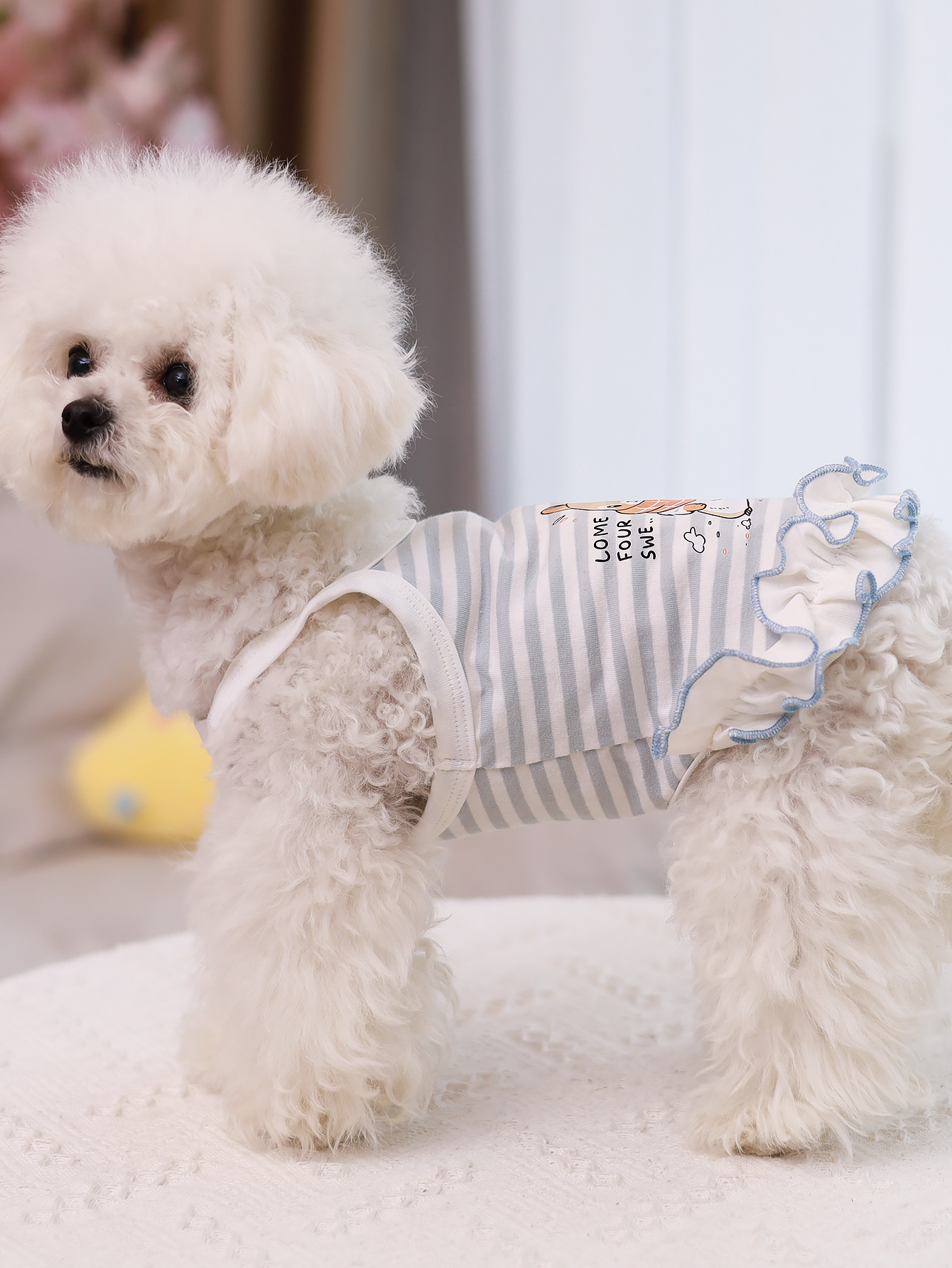 Hundeweste, sommerliche, atmun – Summer Clothing Material Bewertung und Preis