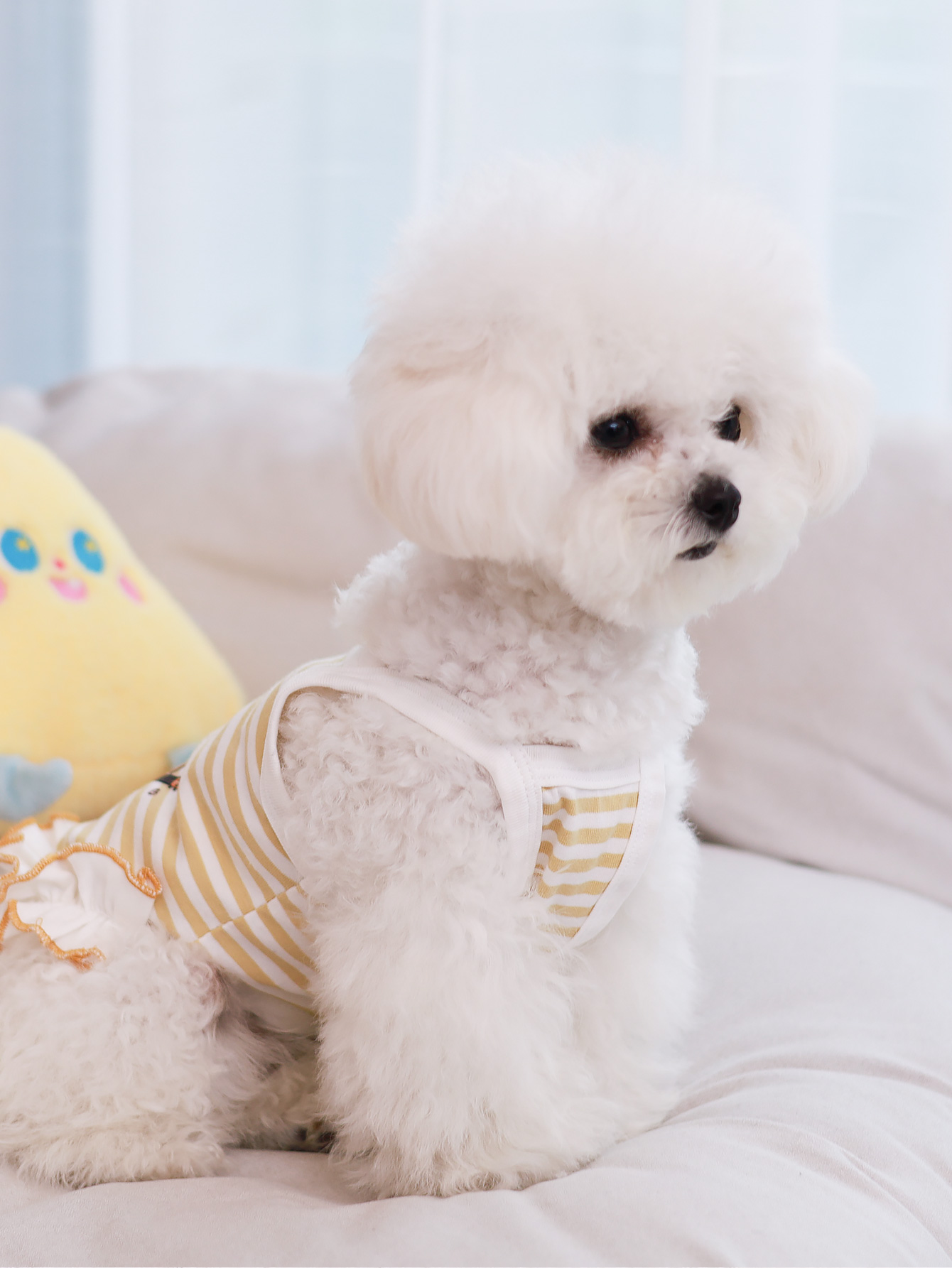 Hundeweste, sommerliche, atmun – Summer Clothing Material Bewertung und Preis